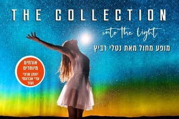 The collection — Into The Light