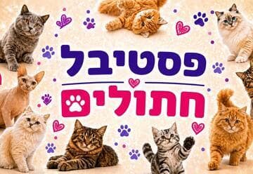 פסטיבל חתולים לכל המשפחה - תערוכת חתולים מגזעים שונים, גורי חתולים, אזור אינטראקציה ומופע בועות סבון (10:00)