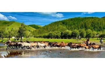 Ayelet Edelberg – Mongolia: A Journey Through the Steppes, Land of the Nomads
